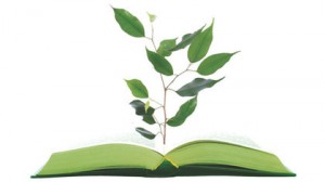 green-building-council-leed-system-controversy green-building-council-leed-system-controversy